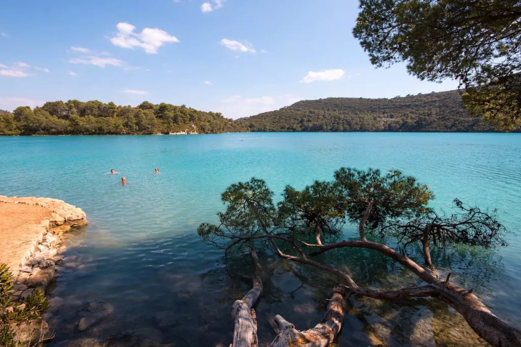 Mljet lake