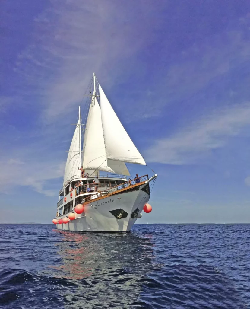 Premium vessel sail