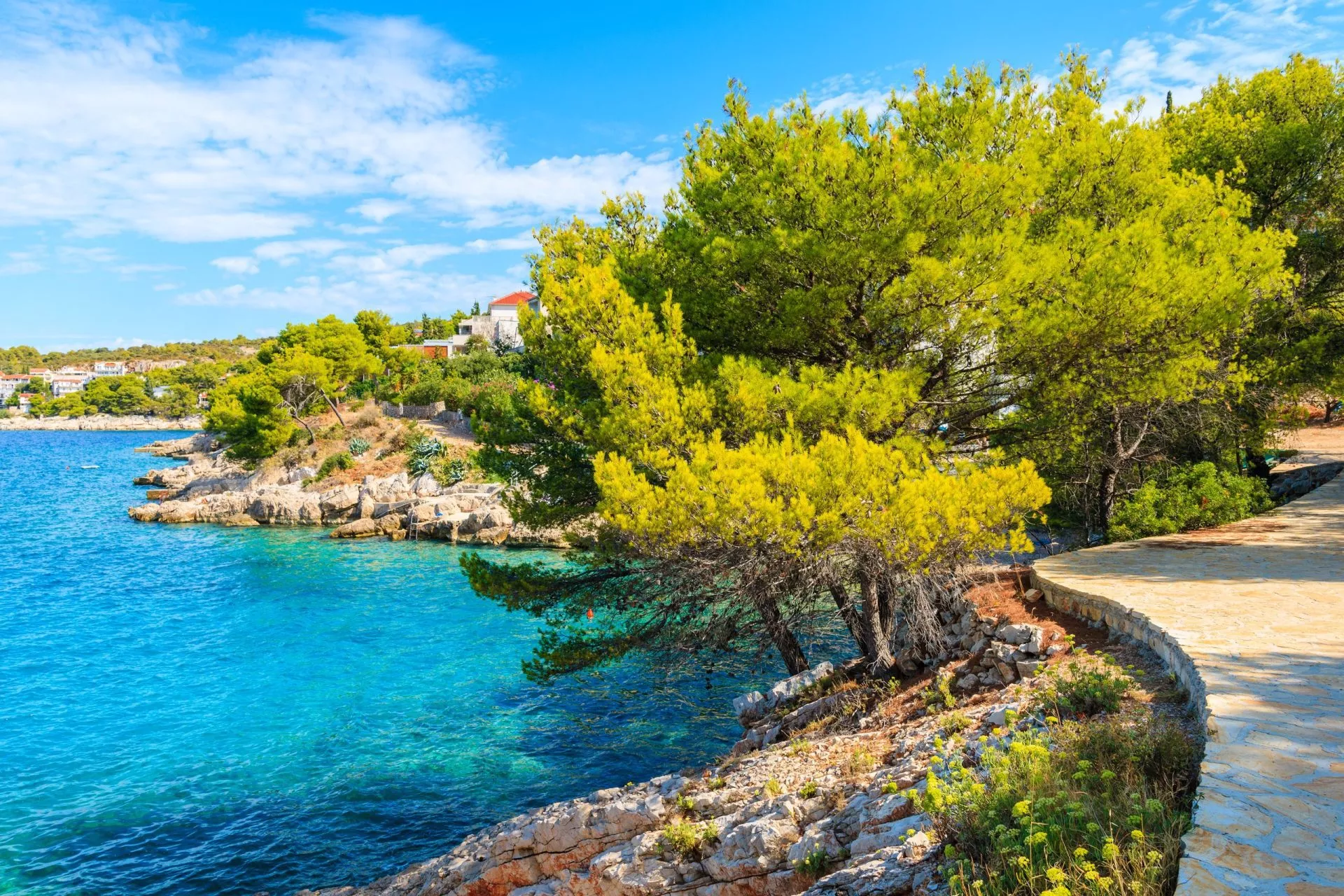 Spazierweg zum Strand mit grünen Kiefern in der Stadt Primosten, Dalmatien, Kroatien